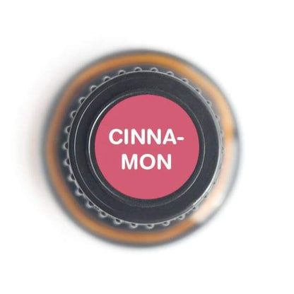 Cinnamon Bark Pure Essential Oil - 15ml